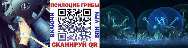 Псилоцибиновые грибы Psilocybe  купить наркотики цена  Бор 
